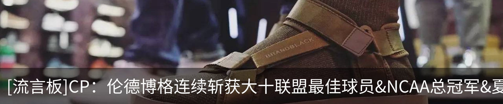 资讯动态